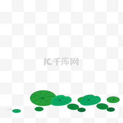 绿色的树叶图片图片_绿色的池塘荷叶叶子