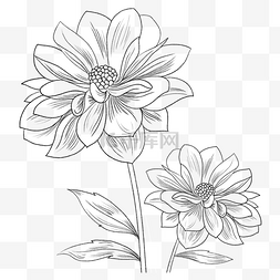 黑白手绘花朵线描