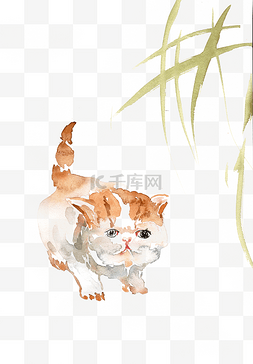 走路的小猫图片_可爱的小猫