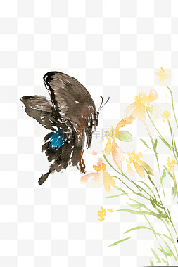 花丛采蜜图片_黑色的蝴蝶
