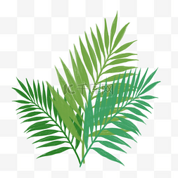 绿色棕榈树叶剪影PNG