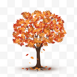 秋天的一棵树图片_秋天的树