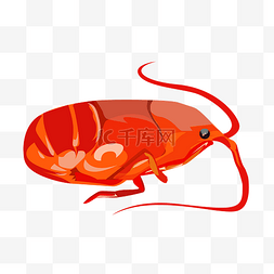 红色的小龙虾插画