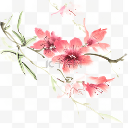 春意昂扬图片_红色的花卉水墨画PNG免抠素材