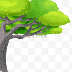 绿色环境图片_绿色植物大树