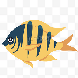 水生物热带鱼