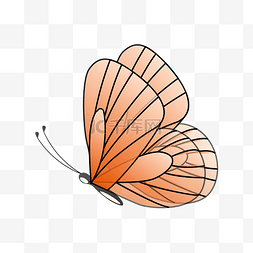 矢量卡通手绘蝴蝶图案