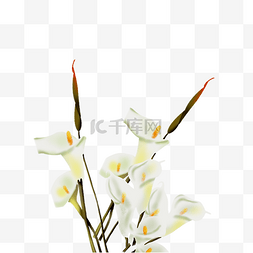 春尚新艺术字图片_白色的花朵免抠图