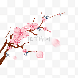 中国春天粉红色鲜花花瓣分支厂