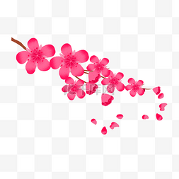 手绘樱花