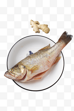 鱼红烧鱼图片_新鲜的健康荤菜红烧鱼