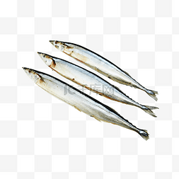 海鲜食品秋刀鱼