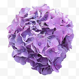 紫色绣花球