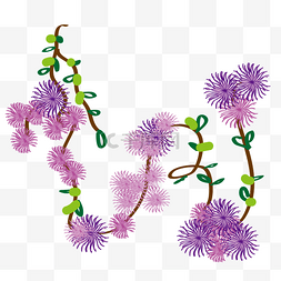 花缠绕图片_紫色的缠绕花藤