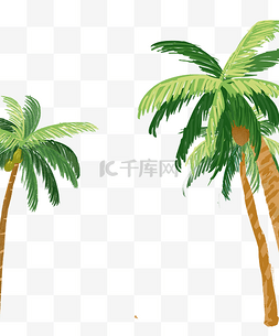 手绘卡通三棵椰子树元素