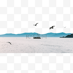江苏无锡太湖鼋头渚湖水海鸥