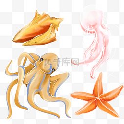橙色的章鱼图片_海螺水母章鱼手绘橙色