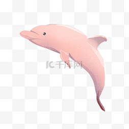 海豚你真棒图片_粉色海豚插画