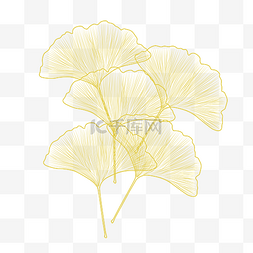 秋天黄色树叶图片图片_黄色线条银杏叶