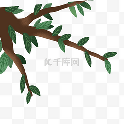 绿色植物叶子树干元素