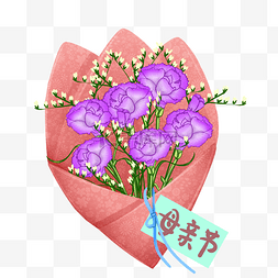 蓝紫色丝带图片_母亲节一束紫色的康乃馨礼物