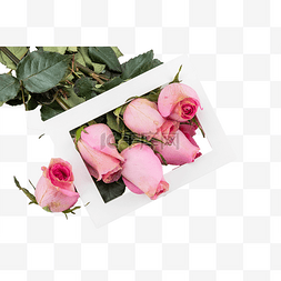情人节玫瑰花和框子