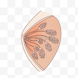 乳腺癌化疗图片_乳腺肿瘤病症