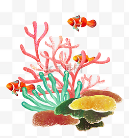 流入大海图片_夏天五彩大海海洋海底海珊瑚鱼