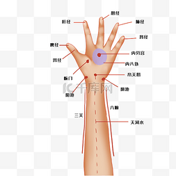 中医理疗手掌穴位