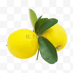 柠檬新鲜水果