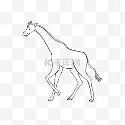 giraffe clipart black and white 线稿长颈