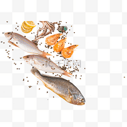水产鲷鱼红杉鱼金线鱼多春鱼
