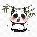 可爱吊竹子玩耍的熊猫