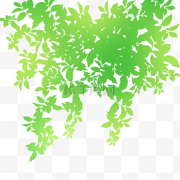绿色叶子下垂png素材