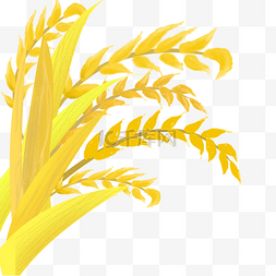 创意麦穗图图片_卡通麦子