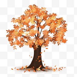 秋天的落叶图片_秋天的树