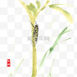 中国风叶茎上的蝉