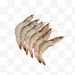 新鲜海鲜大虾
