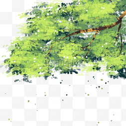 一颗茂盛的绿色树木