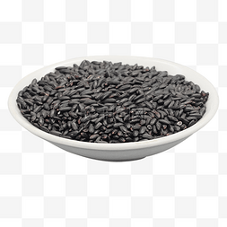 黑米稻稻图片_黑米农作物粮食