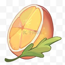 切开的橙子水果