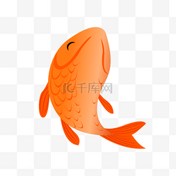 红色鱼类图片_卡通红色的大鲤鱼