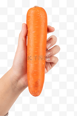 手拿胡萝卜蔬菜