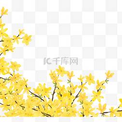 春季手绘植物图片_金黄色手绘植物迎春花