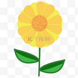 精美黄色向日葵花