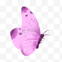 紫色水彩蝴蝶