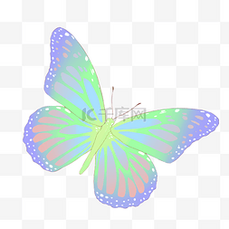 炫美的蝴蝶装饰插画