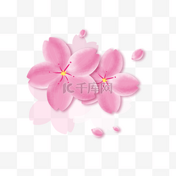 花朵粉图片_樱花树樱花节春天粉色系手绘装饰