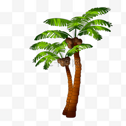 椰子树椰果植物装饰图案
