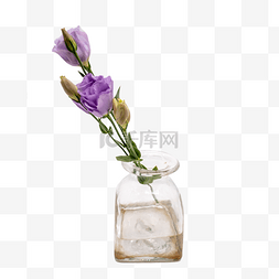 实物鲜花花束图片_紫色洋桔梗玻璃瓶